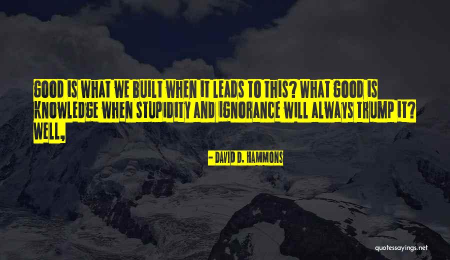 What Is Stupidity Quotes By David D. Hammons What Is Stupidity Quotes By David D. Hammons
