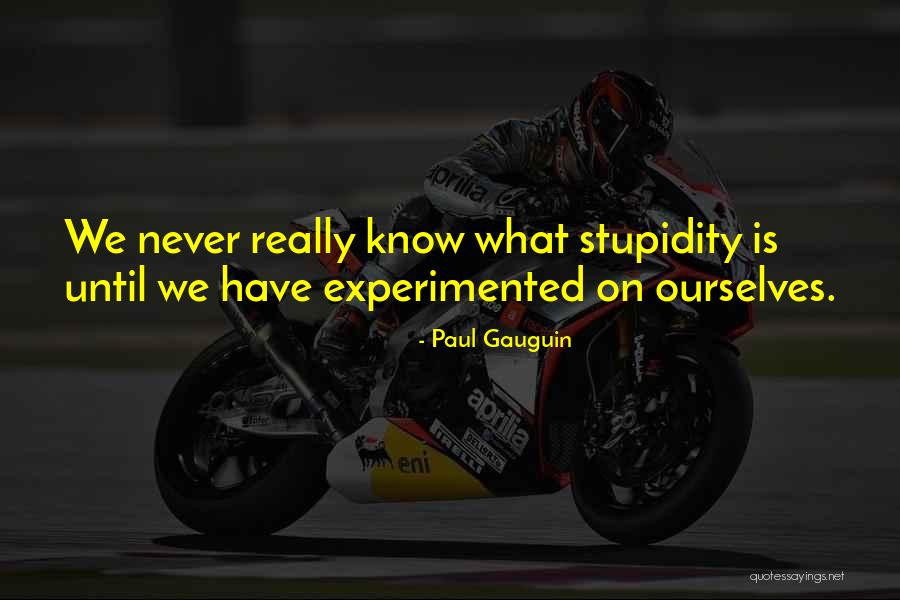 What Is Stupidity Quotes By Paul Gauguin What Is Stupidity Quotes By Paul Gauguin