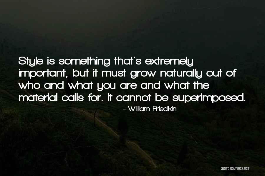 What Is Style Quotes By William Friedkin What Is Style Quotes By William Friedkin