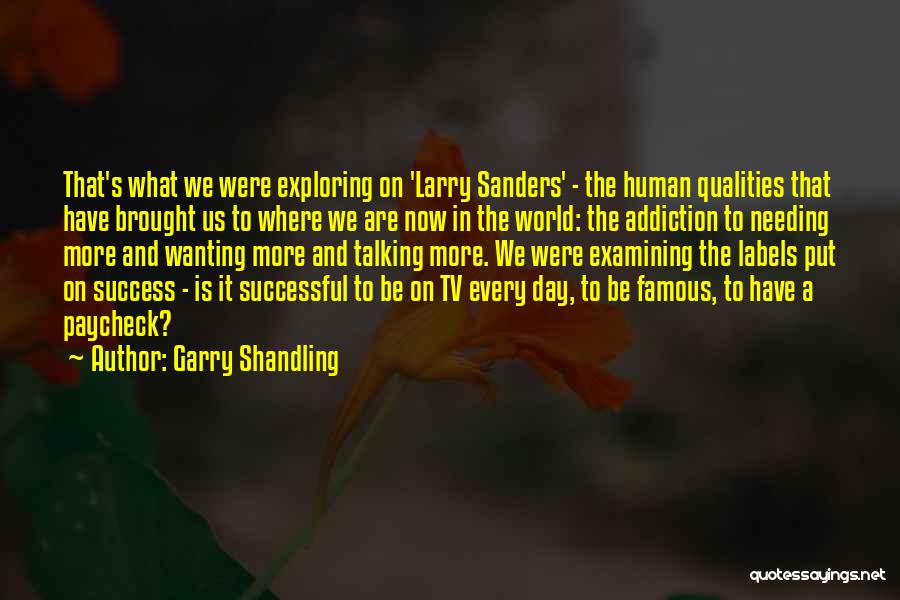 What Is Success Famous Quotes By Garry Shandling