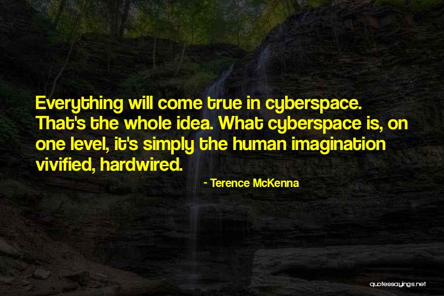 What Is The Imagination Quotes By Terence McKenna What Is The Imagination Quotes By Terence McKenna