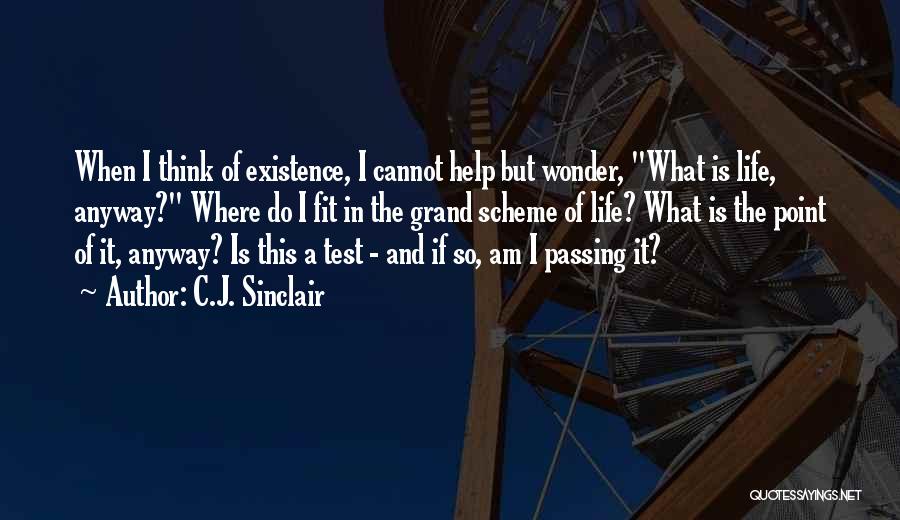 What Is The Purpose Of Life Quotes By C.J. Sinclair