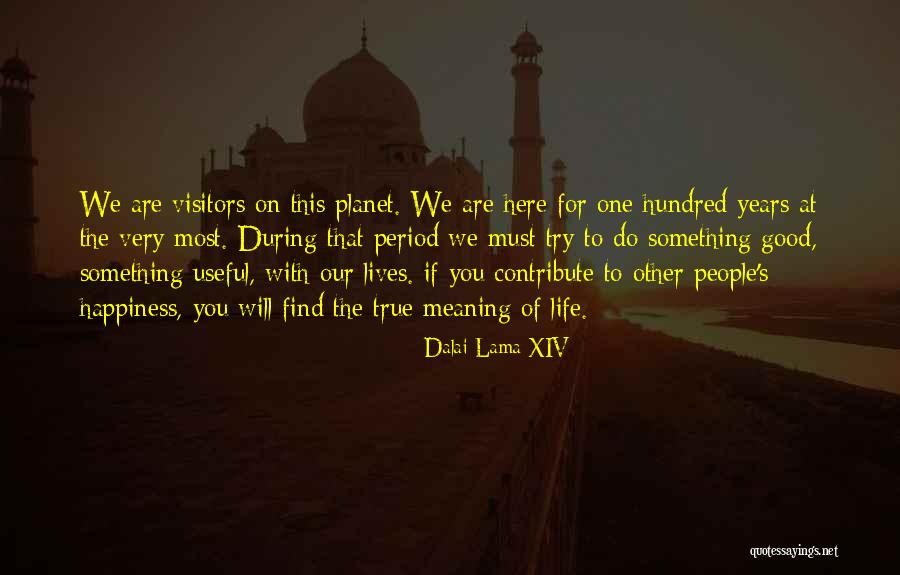 What Is The True Meaning Of Happiness Quotes By Dalai Lama XIV What Is The True Meaning Of Happiness Quotes By Dalai Lama XIV