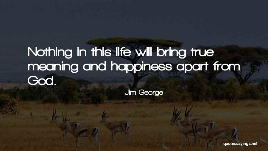 What Is The True Meaning Of Happiness Quotes By Jim George What Is The True Meaning Of Happiness Quotes By Jim George