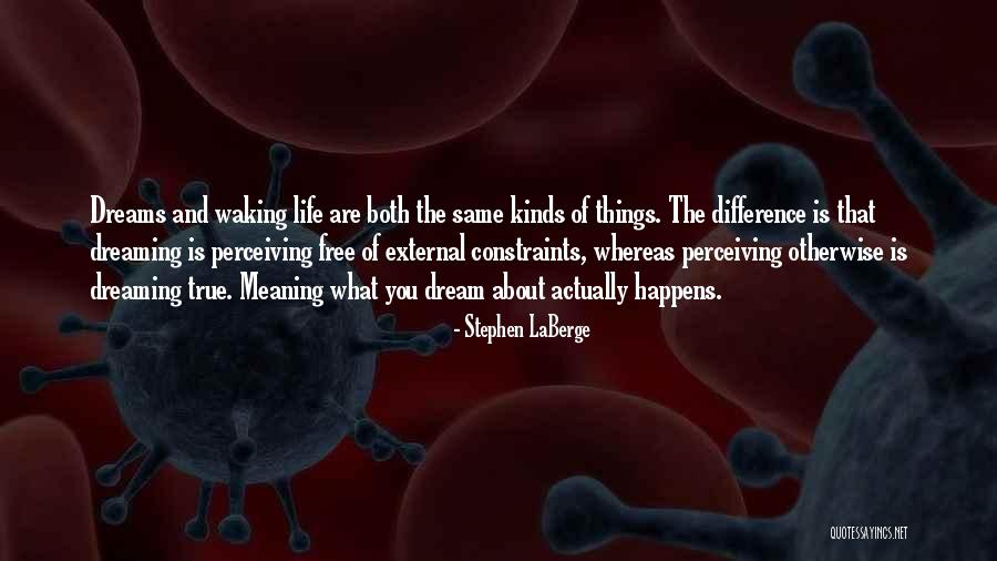 What Is The True Meaning Of Life Quotes By Stephen LaBerge What Is The True Meaning Of Life Quotes By Stephen LaBerge