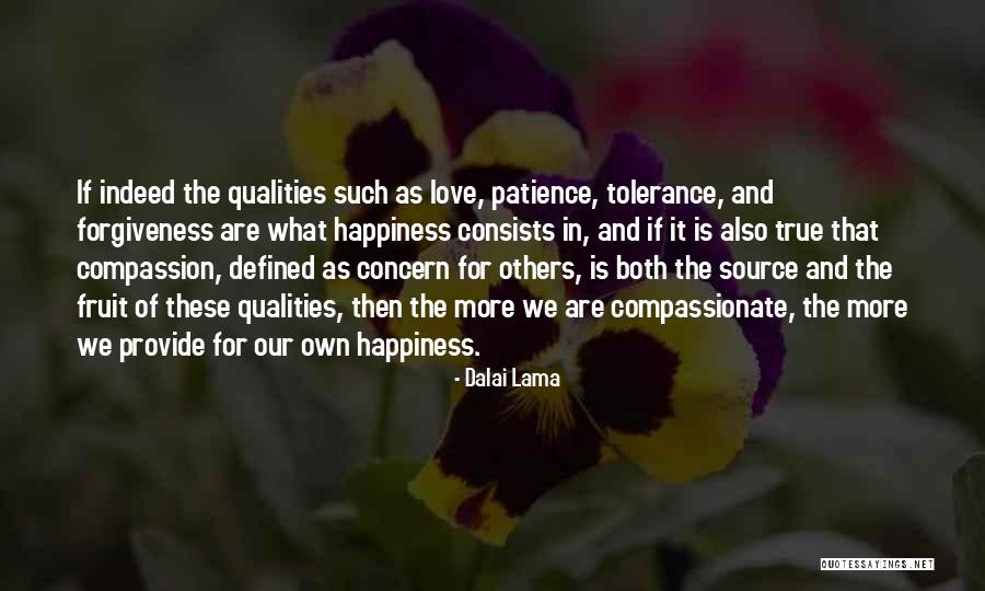 What Is True Happiness Quotes By Dalai Lama