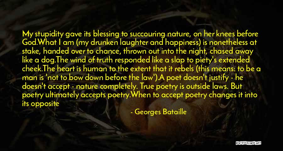 What Is True Happiness Quotes By Georges Bataille