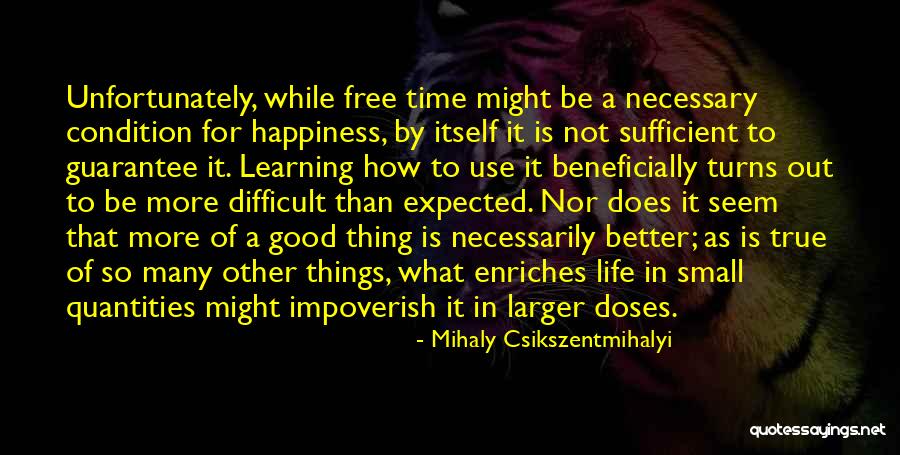 What Is True Happiness Quotes By Mihaly Csikszentmihalyi