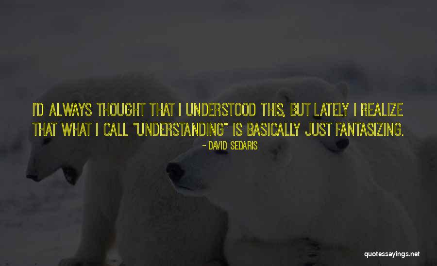 What Is Understanding Quotes By David Sedaris What Is Understanding Quotes By David Sedaris