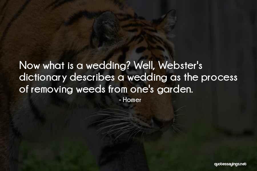 What Is Wedding Quotes By Homer What Is Wedding Quotes By Homer