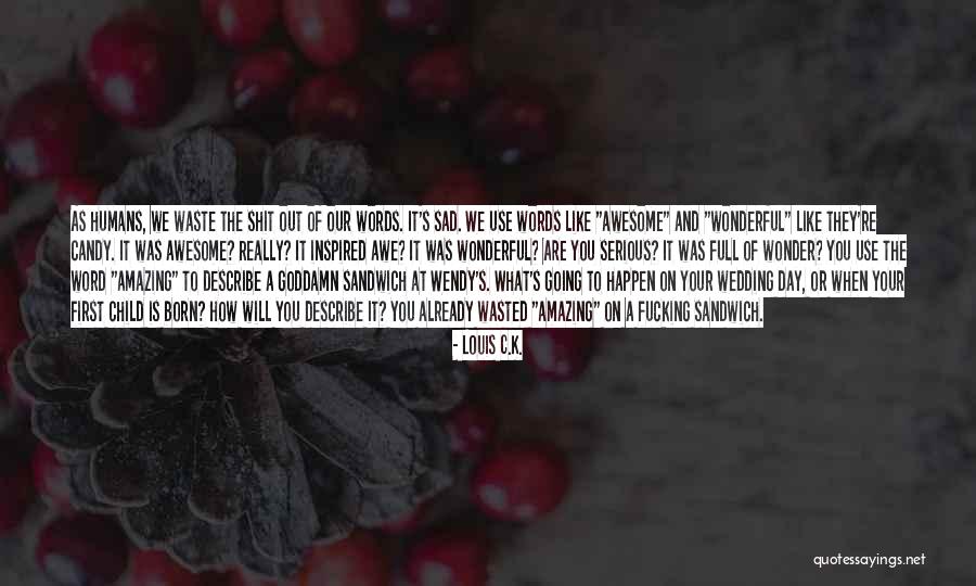 What Is Wedding Quotes By Louis C.K. What Is Wedding Quotes By Louis C.K.