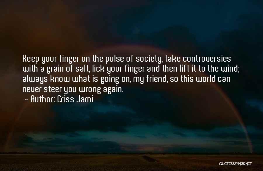 What Is Wrong With Society Quotes By Criss Jami