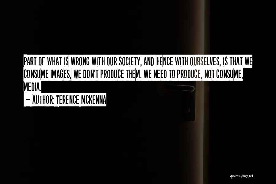 What Is Wrong With Society Quotes By Terence McKenna