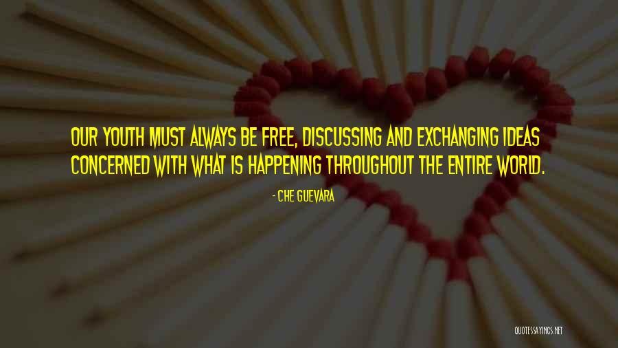 What Is Youth Quotes By Che Guevara What Is Youth Quotes By Che Guevara