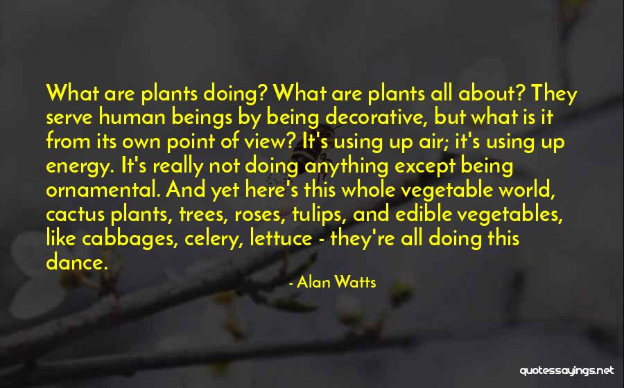 What Its Really All About Quotes By Alan Watts