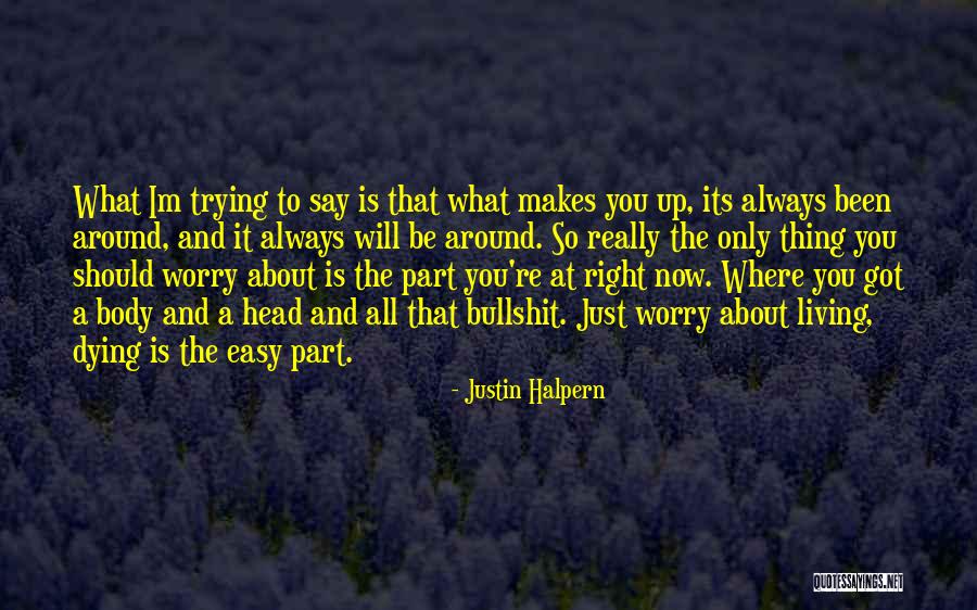 What Its Really All About Quotes By Justin Halpern