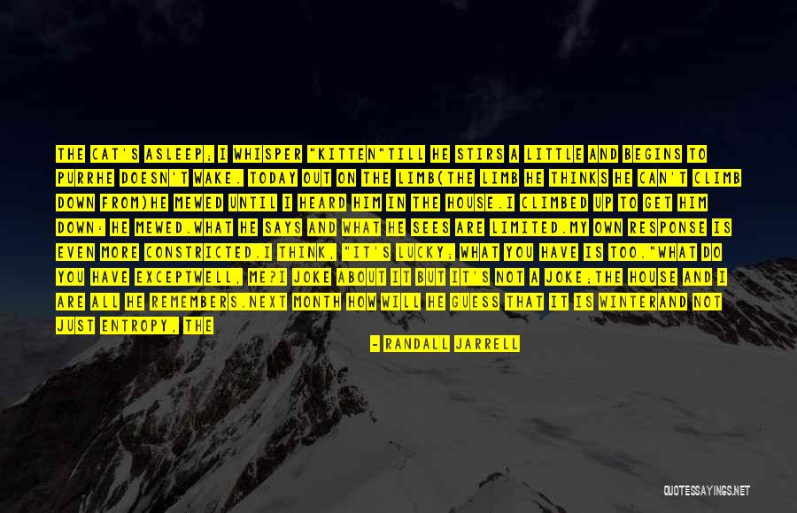 What Its Really All About Quotes By Randall Jarrell
