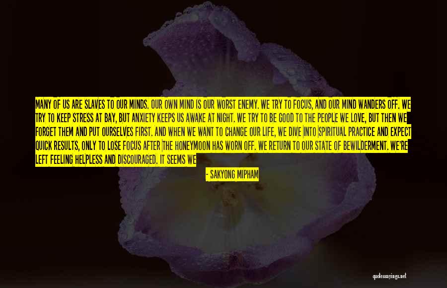 What Keeps You Awake At Night Quotes By Sakyong Mipham What Keeps You Awake At Night Quotes By Sakyong Mipham