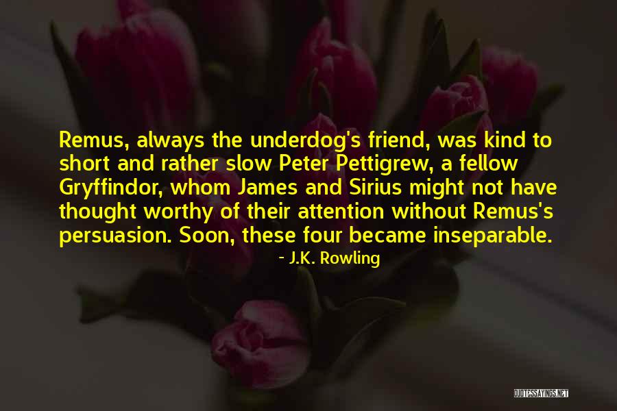 What Kind Of A Friend Are You Quotes By J.K. Rowling