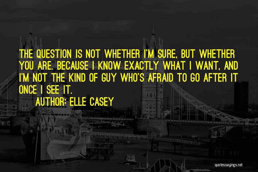 What Kind Of Guy I Want Quotes By Elle Casey