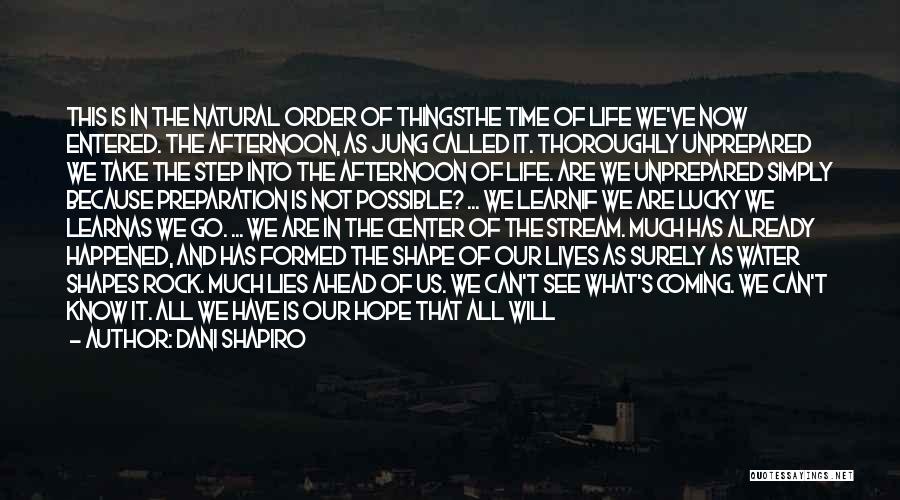 What Lies Ahead Quotes By Dani Shapiro What Lies Ahead Quotes By Dani Shapiro