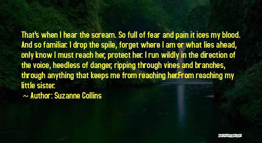 What Lies Ahead Quotes By Suzanne Collins