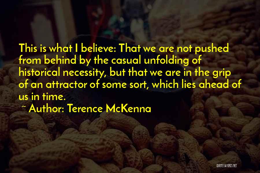 What Lies Ahead Quotes By Terence McKenna