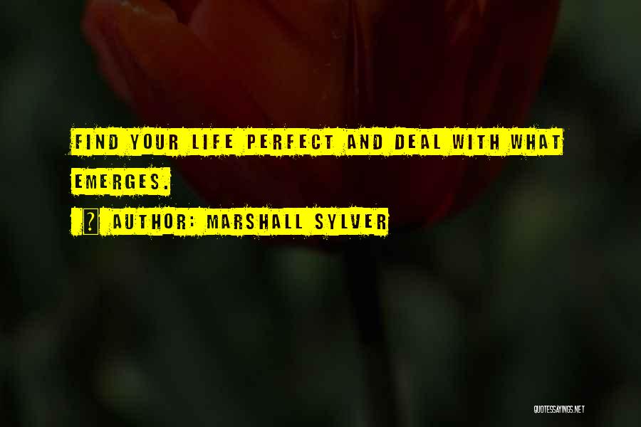 What Life Deals Quotes By Marshall Sylver