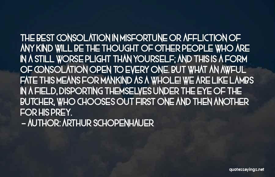 What Life Means Quotes By Arthur Schopenhauer