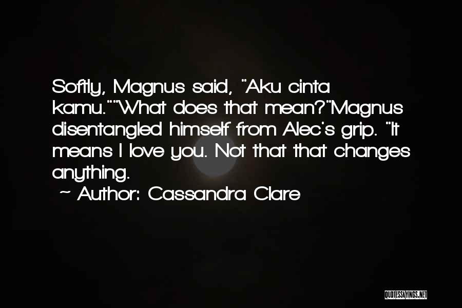 What Love Means Quotes By Cassandra Clare