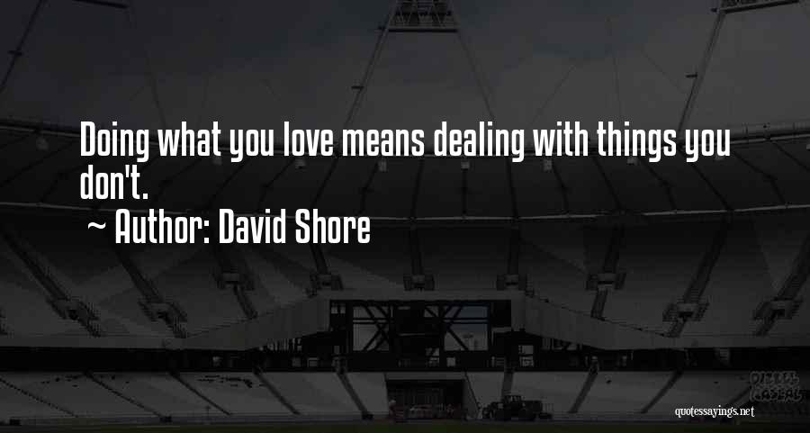 What Love Means Quotes By David Shore