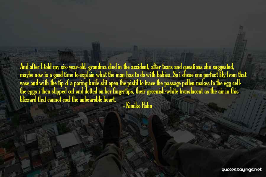 What Makes A Perfect Man Quotes By Kimiko Hahn What Makes A Perfect Man Quotes By Kimiko Hahn