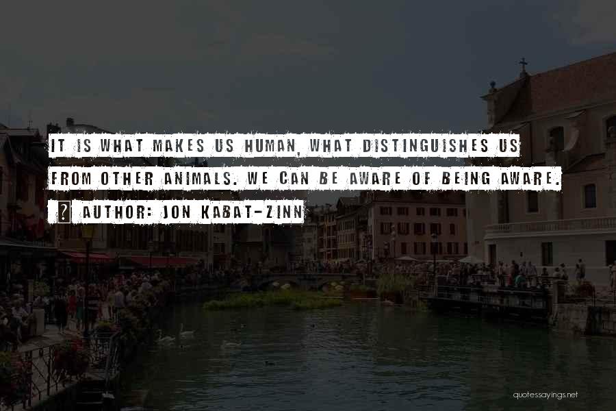 What Makes Us Human Quotes By Jon Kabat-Zinn