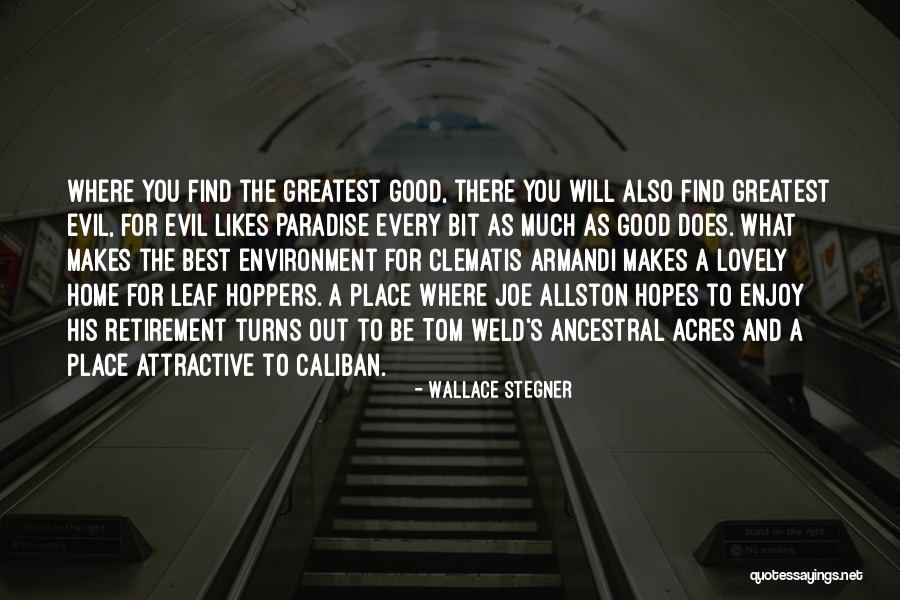 What Makes You Attractive Quotes By Wallace Stegner What Makes You Attractive Quotes By Wallace Stegner