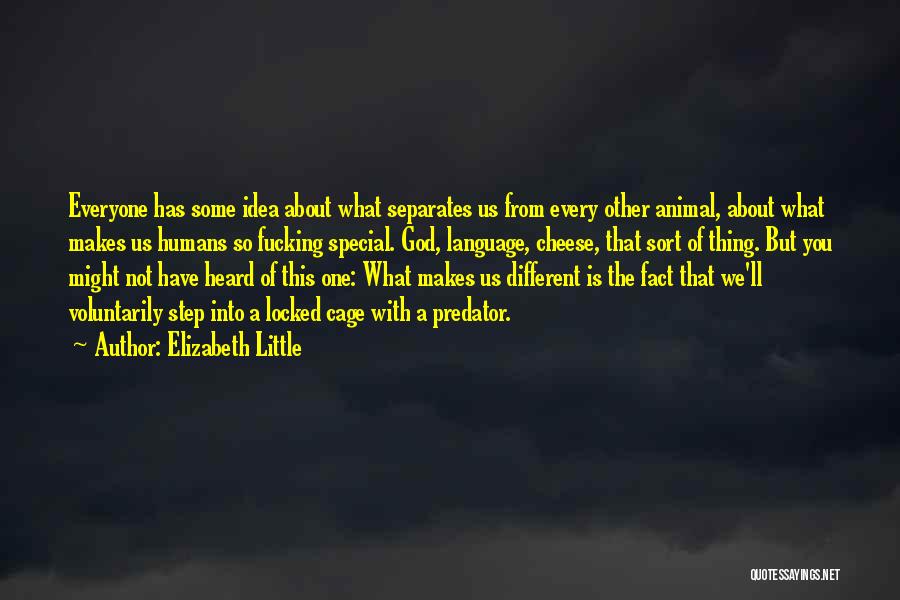 What Makes You So Special Quotes By Elizabeth Little