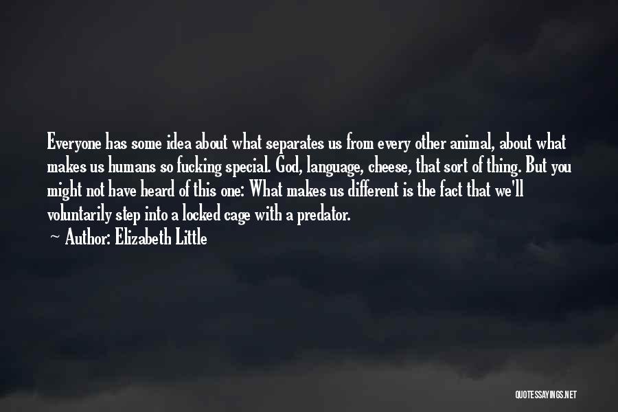 What Makes You Special Quotes By Elizabeth Little