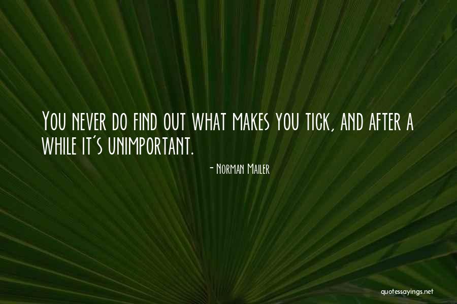 What Makes You Tick Quotes By Norman Mailer What Makes You Tick Quotes By Norman Mailer