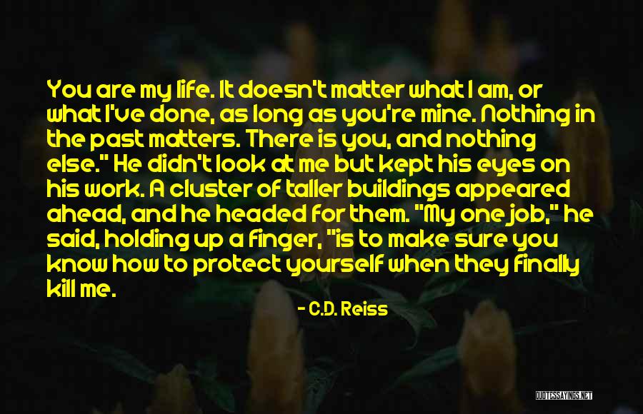 What Matters In Life Quotes By C.D. Reiss