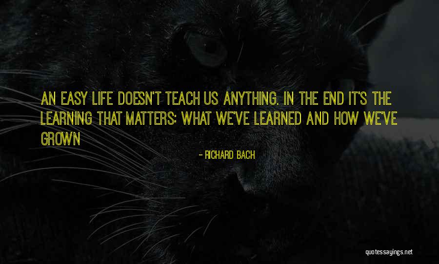 What Matters In Life Quotes By Richard Bach