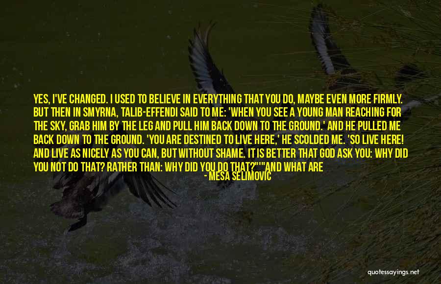 What More Can I Ask For Quotes By Mesa Selimovic What More Can I Ask For Quotes By Mesa Selimovic