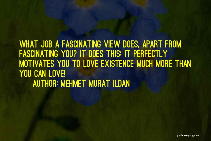 What Motivates You Quotes By Mehmet Murat Ildan
