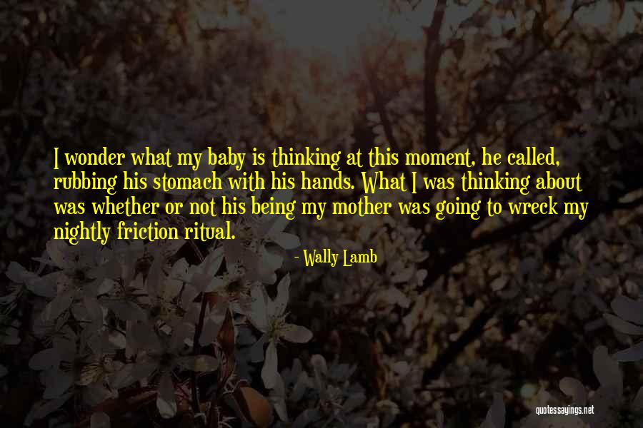 What My Baby Quotes By Wally Lamb What My Baby Quotes By Wally Lamb
