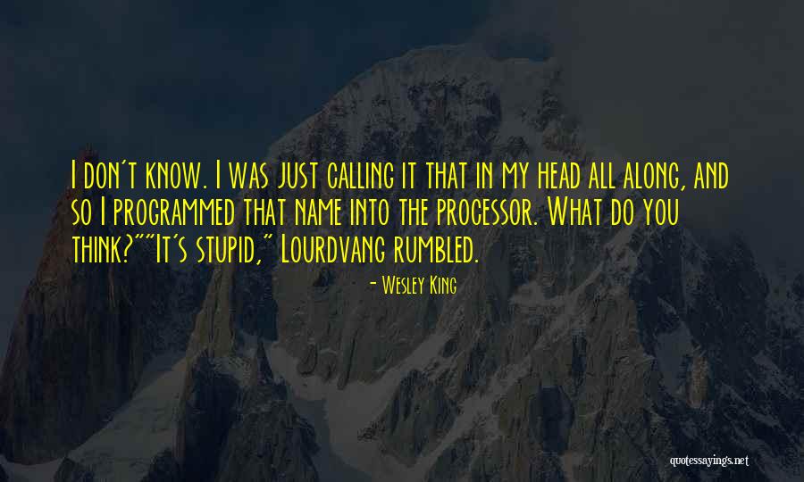 What My Baby Quotes By Wesley King What My Baby Quotes By Wesley King