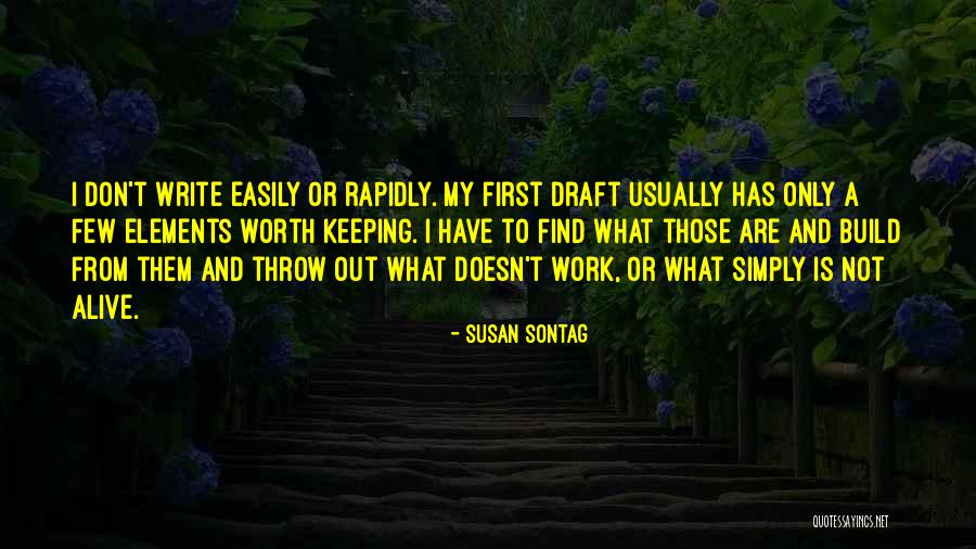 What My Worth Quotes By Susan Sontag What My Worth Quotes By Susan Sontag