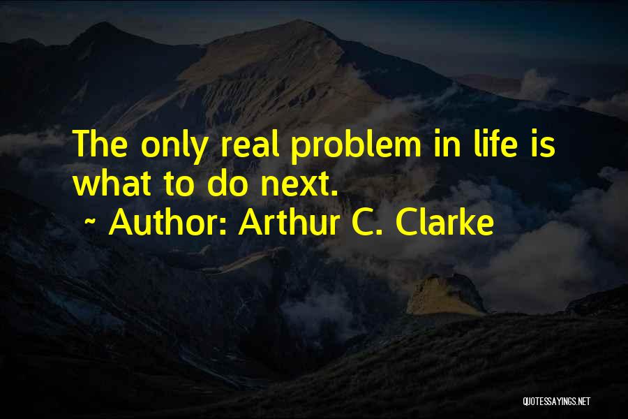 What Next In Life Quotes By Arthur C. Clarke