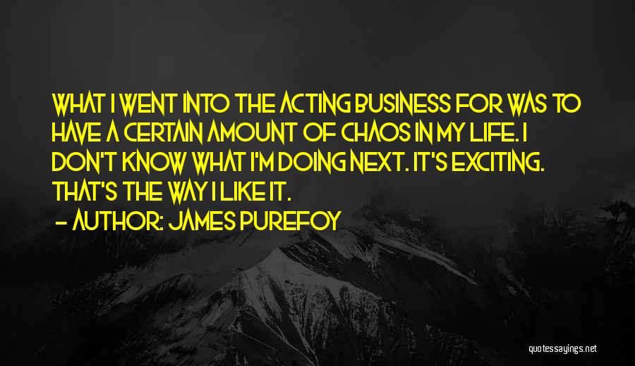 What Next In Life Quotes By James Purefoy