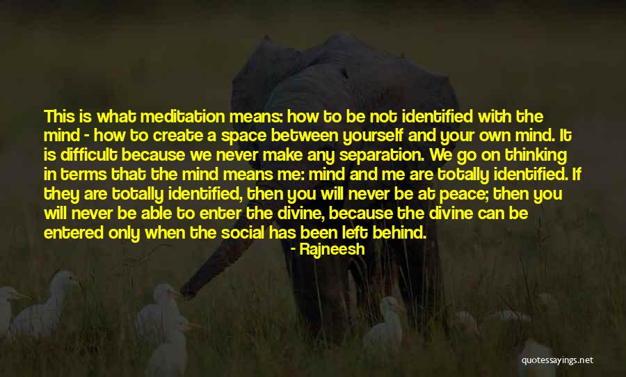 What On Your Mind Quotes By Rajneesh What On Your Mind Quotes By Rajneesh