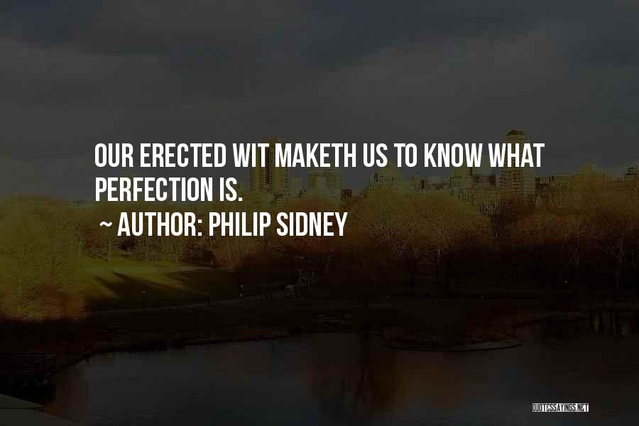 What Perfection Is Quotes By Philip Sidney