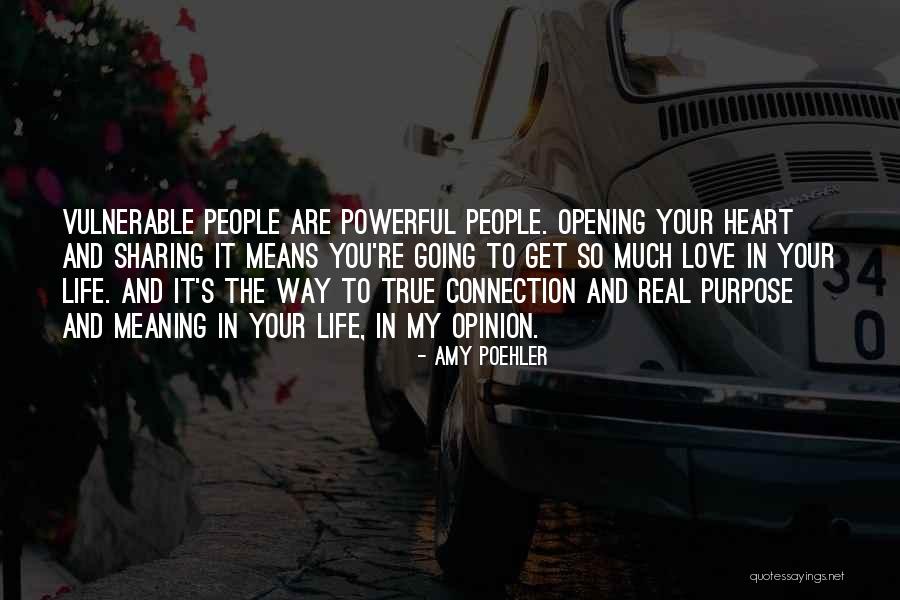 What Real Love Means Quotes By Amy Poehler What Real Love Means Quotes By Amy Poehler
