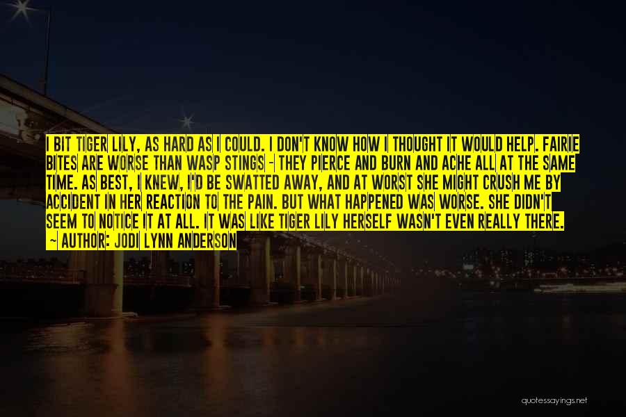 What Really Happened Quotes By Jodi Lynn Anderson
